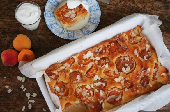 Abrikozenplaakcake