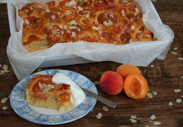Abrikozenplaatcake
