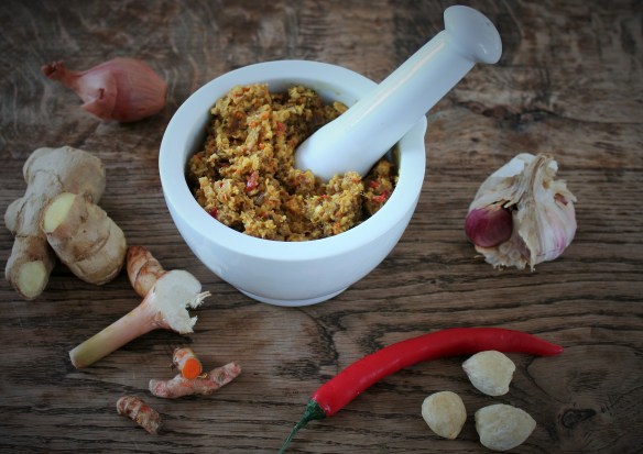 rendang + panna cotta 045 (2)